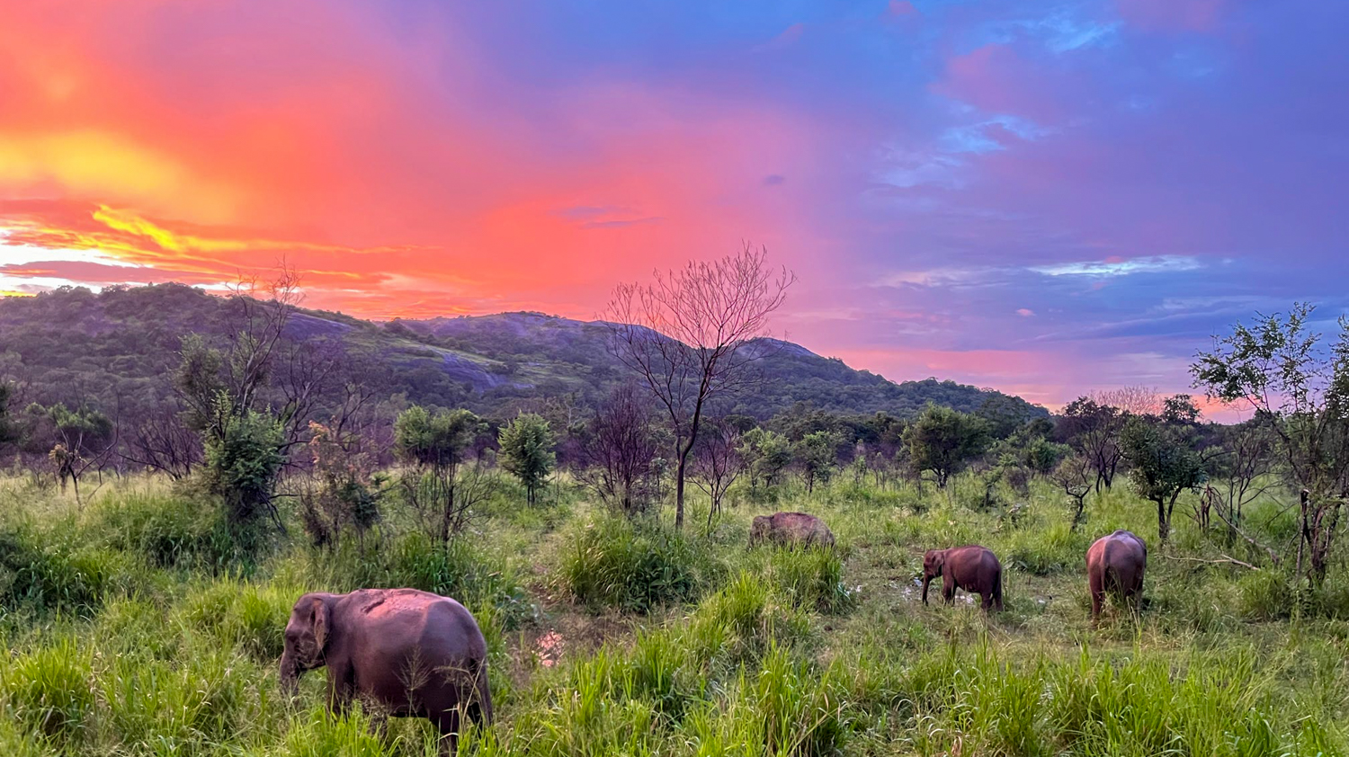 Backpacking Sri Lanka: Express Adventure