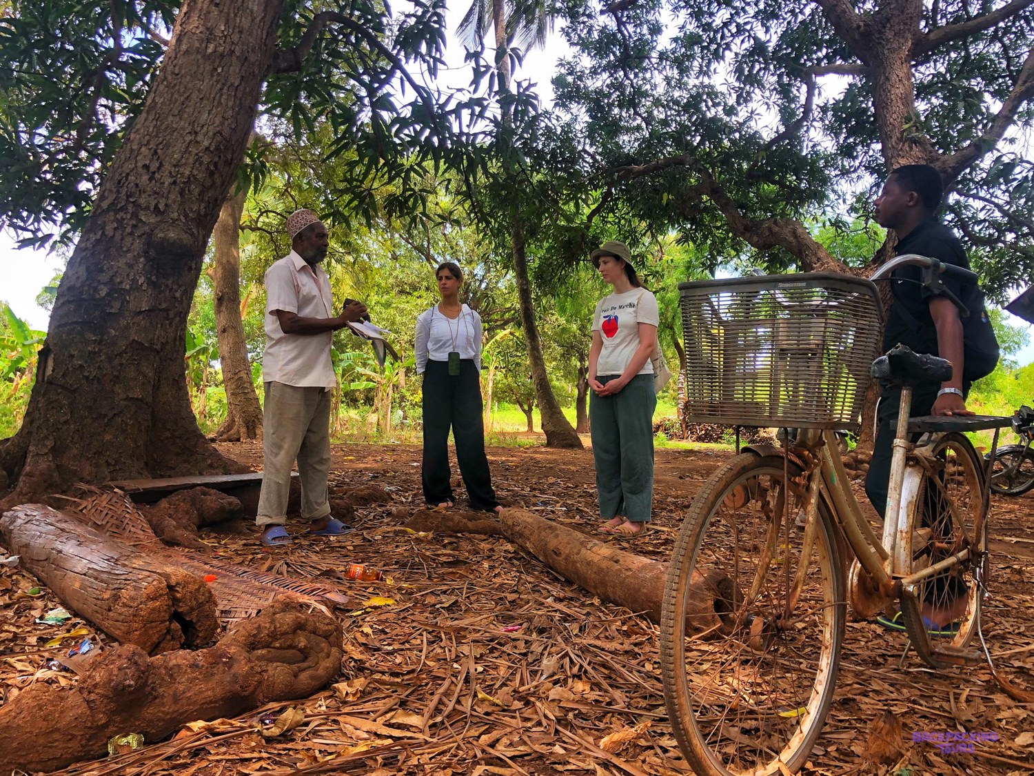 A village guide talks with two volunteers under mango trees beside a fallen log.