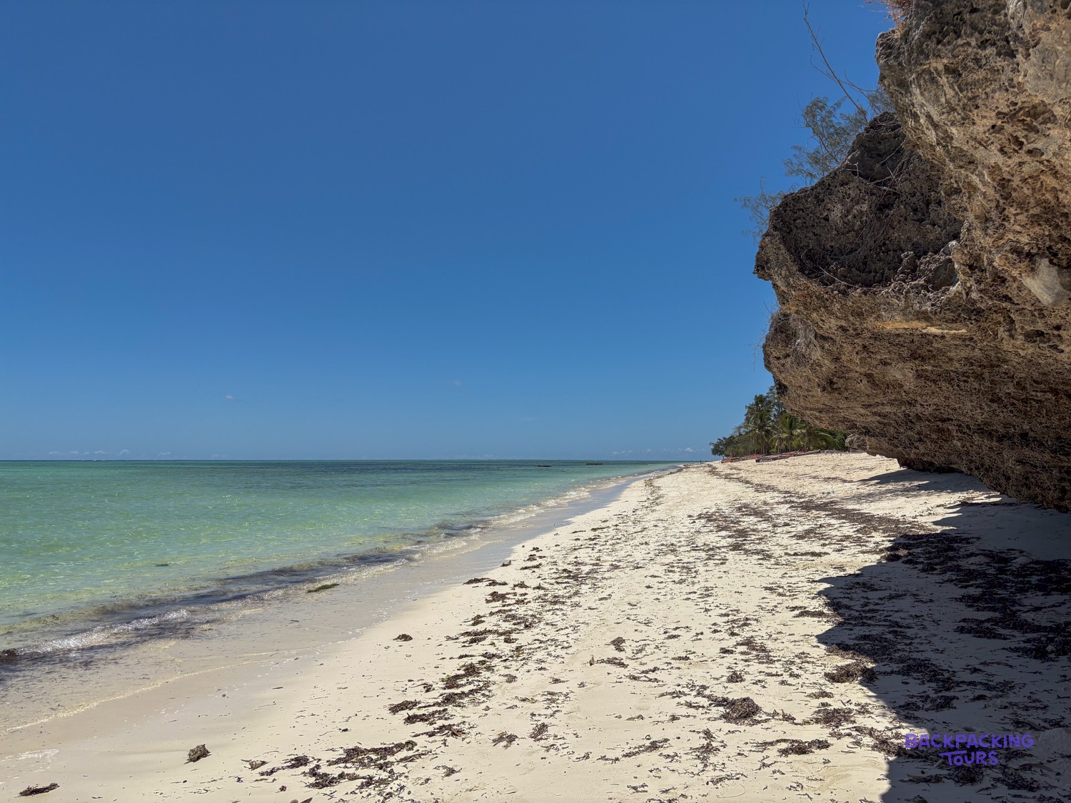 Empty white sand and shallow turquoise water below a coral cliff in Makunduchi.