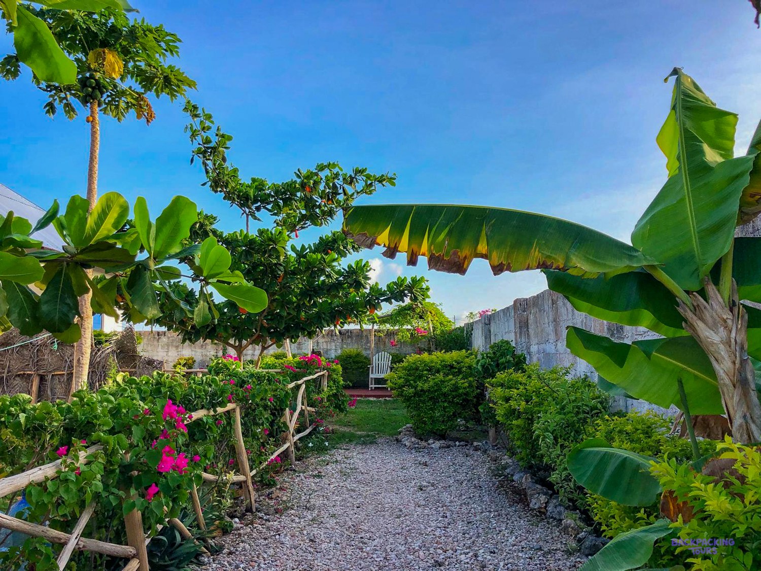 Bougainvillea and banana leaves line the gravel path through the volunteer house garden.
