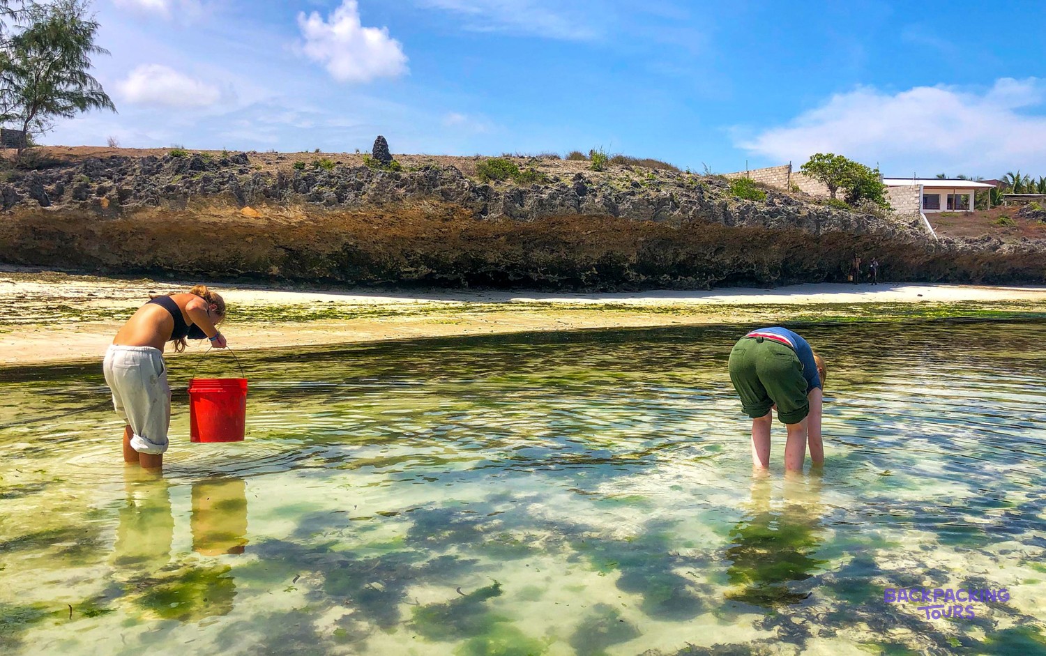 Two people collect seaweed in shallow water below the low coral cliff and village.