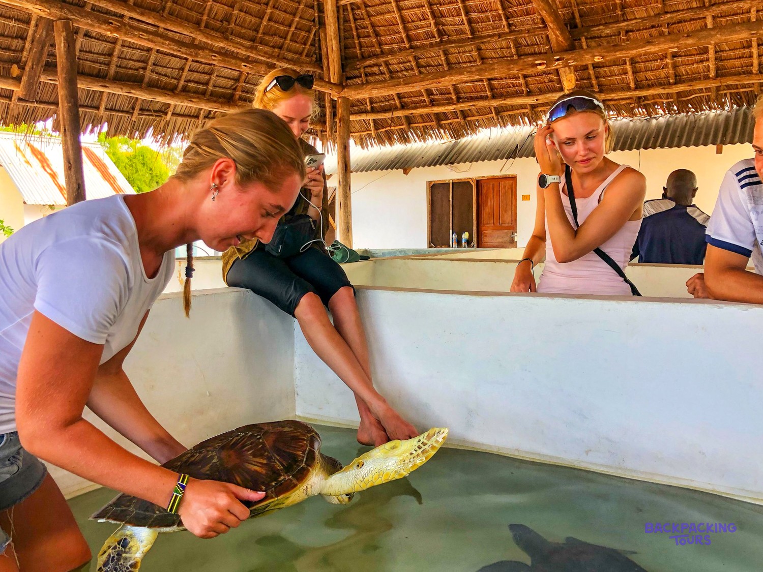 A volunteer lifts a green turtle from the tank while the others look on.