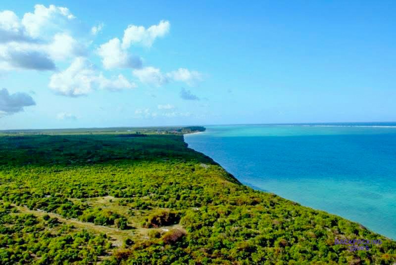 Dense green mangrove and bush meets the turquoise shallows along the Makunduchi coast.