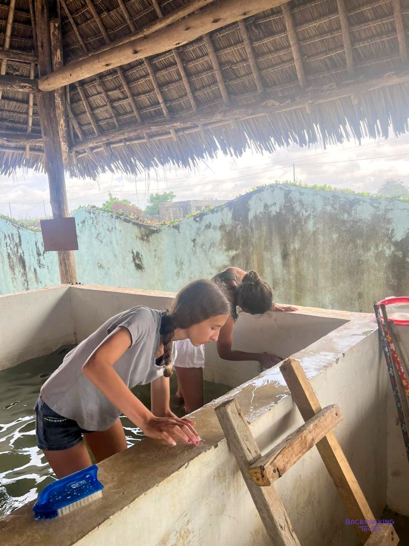Two volunteers scrub out an emptied turtle tank under the thatched roof of the site.