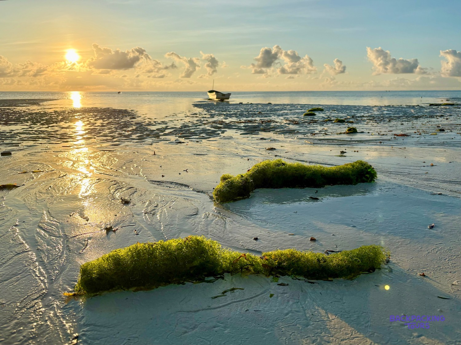 The sun sets over the reef flat and the seaweed lines at low tide in Makunduchi.