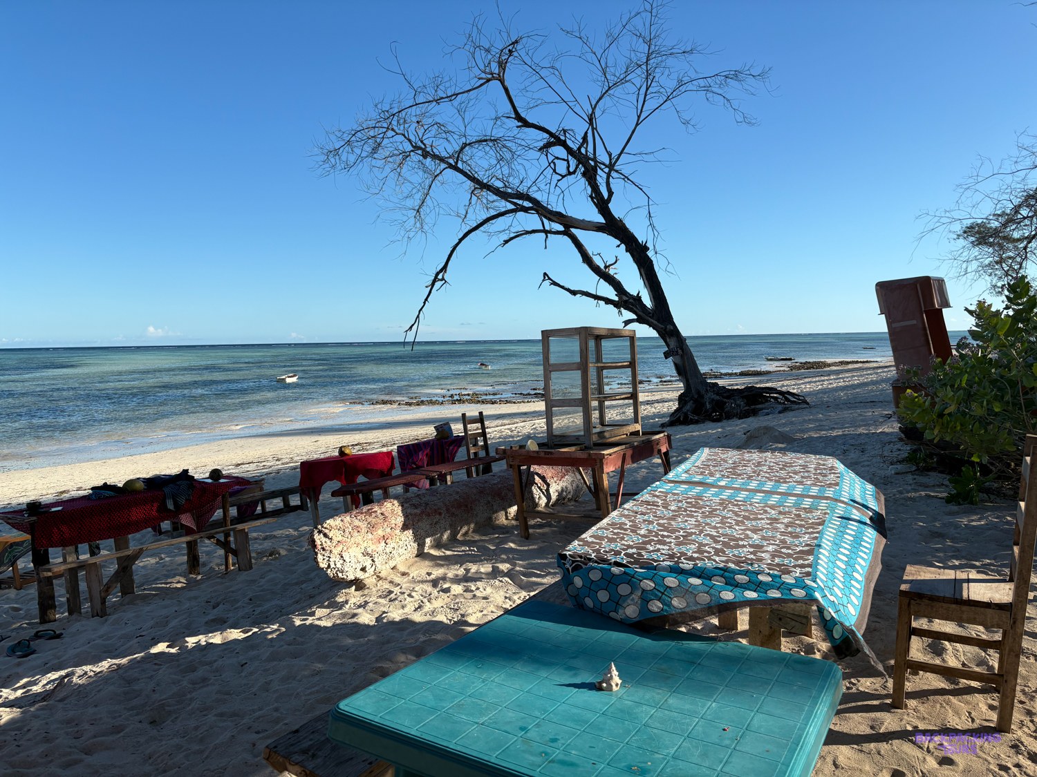 Painted tables and benches sit on the sand beside a bare tree and the shallow lagoon.