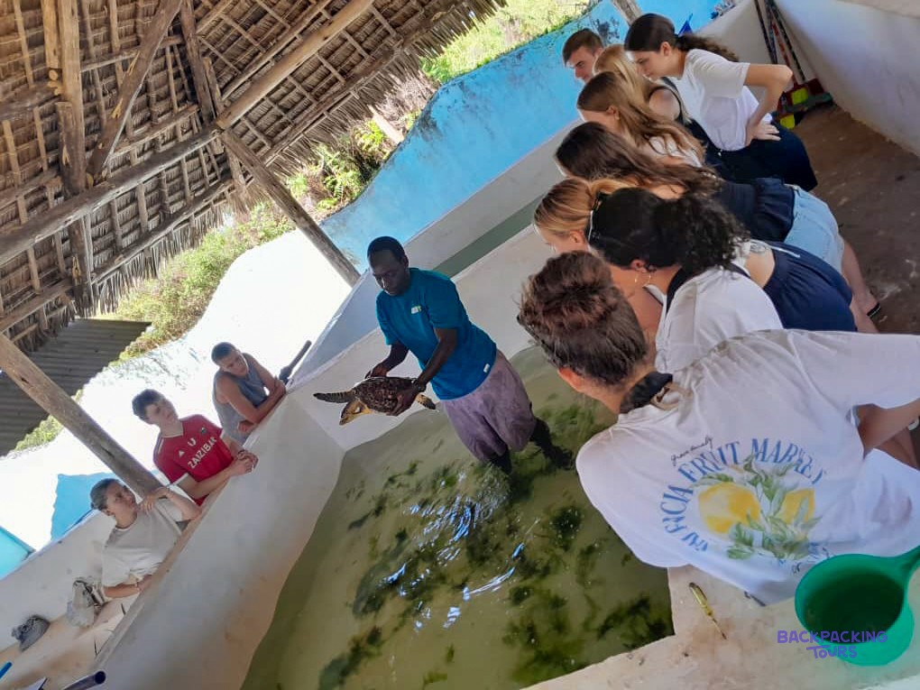 A member of staff holds up a turtle for the group gathered around the tank.