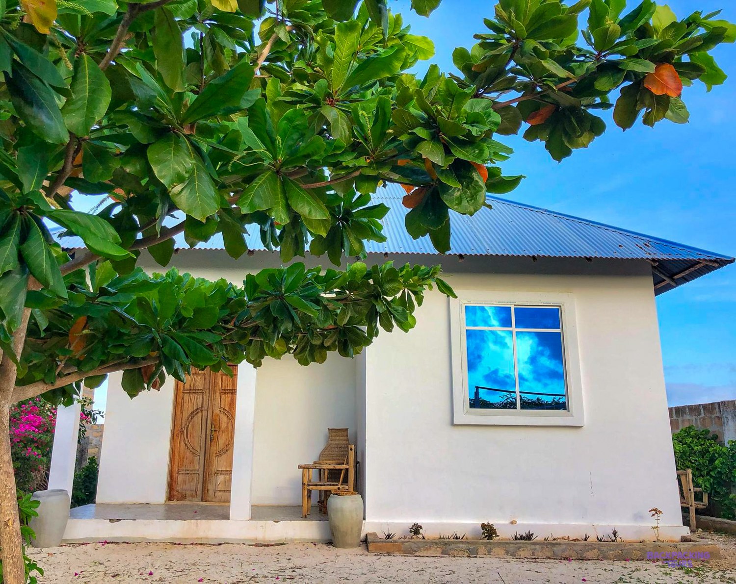 A white house with a blue roof and a carved door sits under a spreading almond tree.