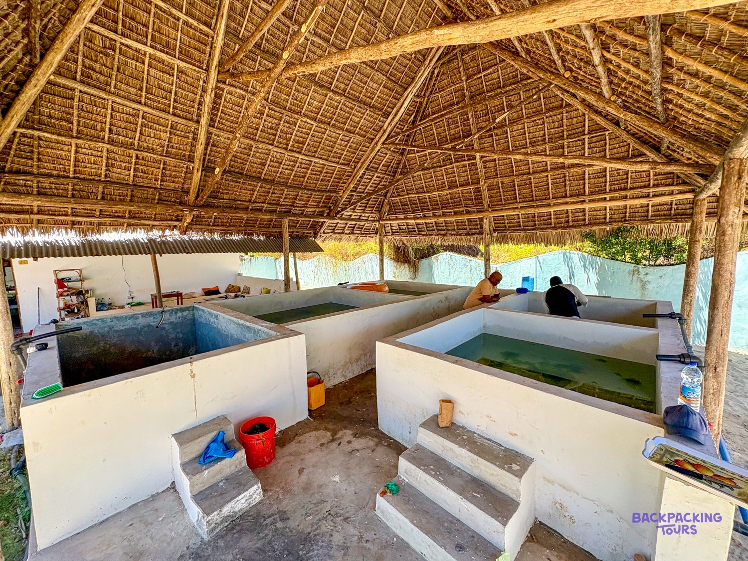Rectangular concrete turtle tanks under a high thatched roof at the conservation site.