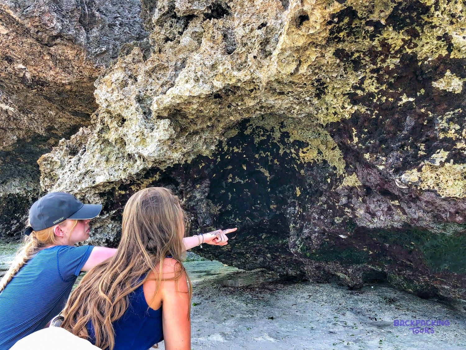 Two volunteers look up at the overhanging coral cliff, one pointing at something above.