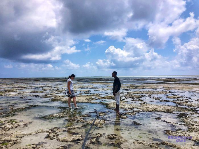 A volunteer and a member of staff walk the wide reef flat under a heavy grey sky.