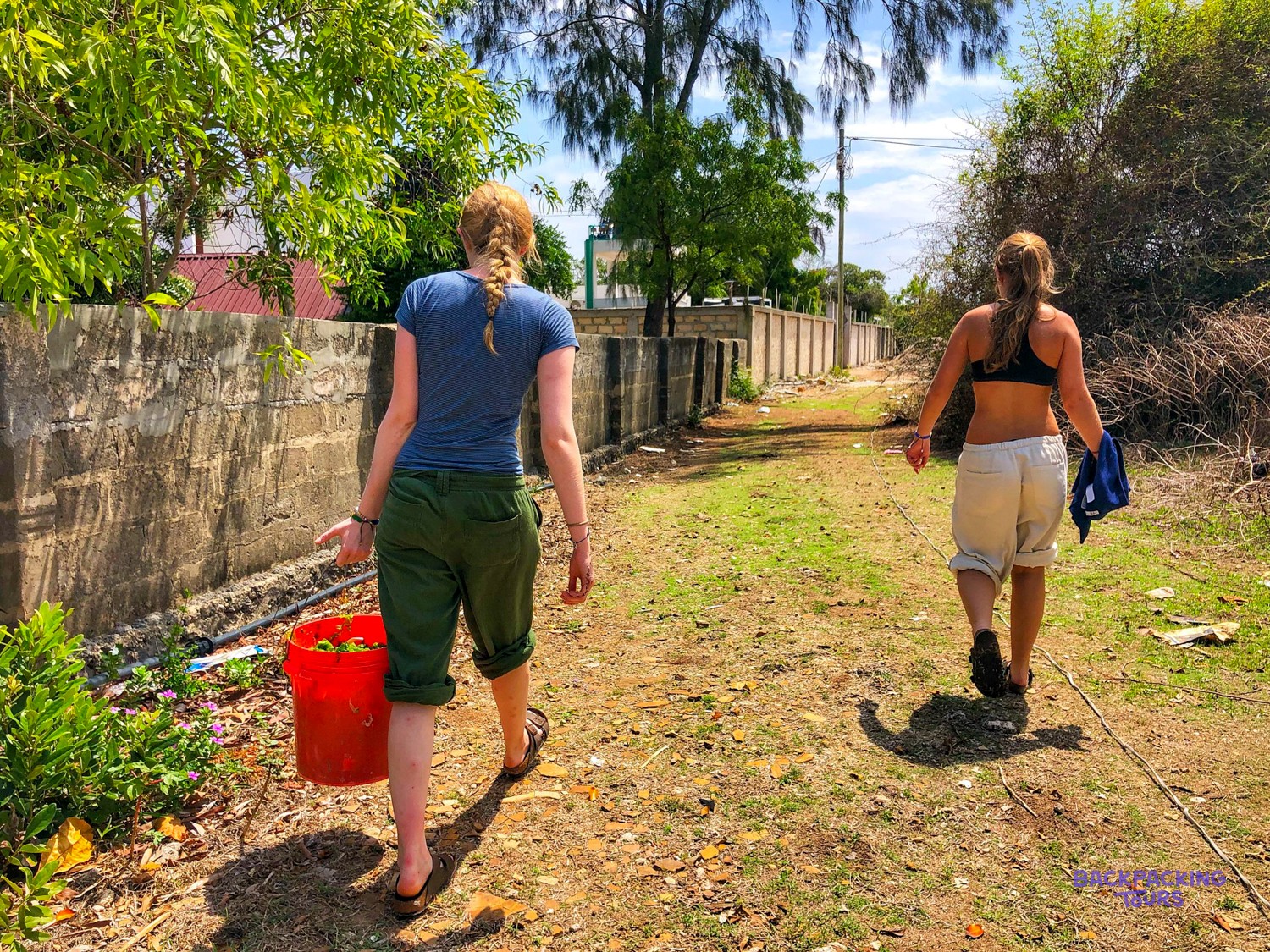 Two volunteers walk a village track back to the project carrying a bucket of seaweed.