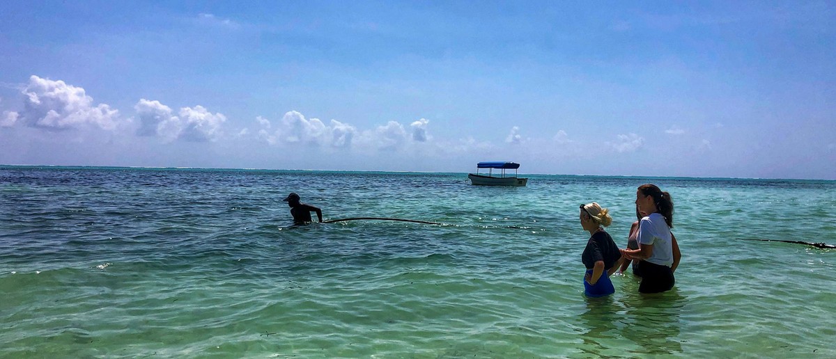 Volunteers stand chest deep in clear water beside a moored boat off the Makunduchi shore.