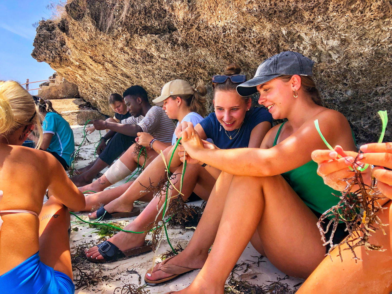 Volunteers sit in the shade of a limestone cliff, threading seaweed onto ropes on a Zanzibar beach.