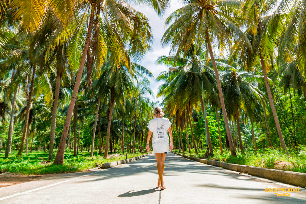 Walking along a palm tree-lined road in Koh Phangan on the final day of the island stay