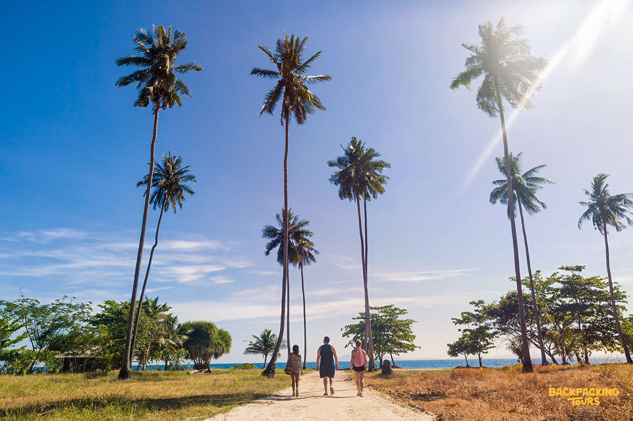 Tall palm trees lining a tranquil beach on Koh Phi Phi during the backpacking tour's travel day