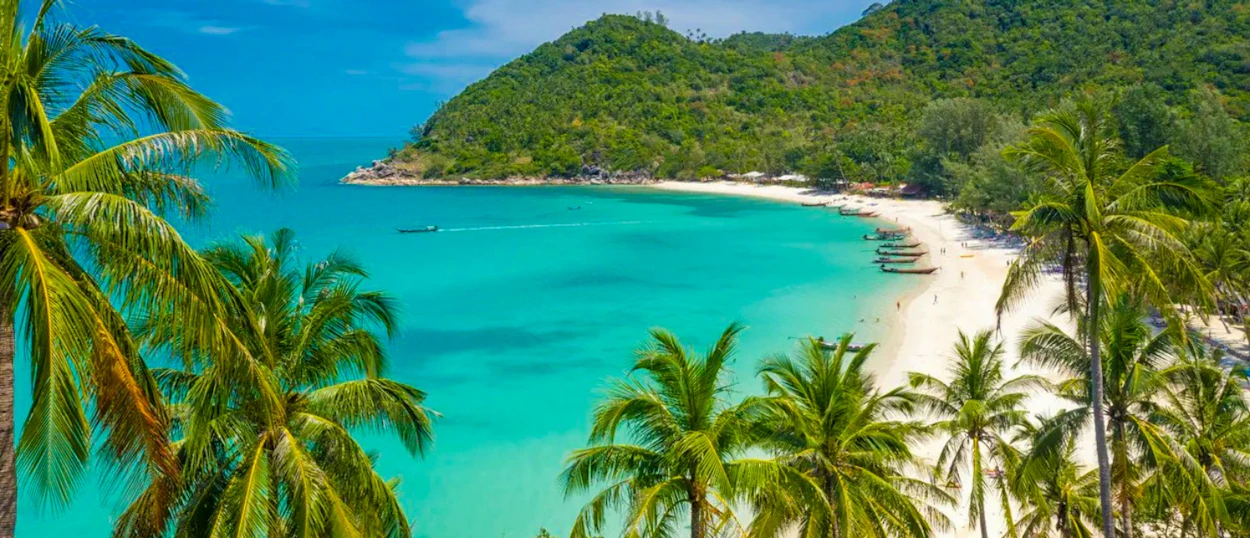 Lush palm trees frame a stunning turquoise bay with white sand beach on Koh Phangan.