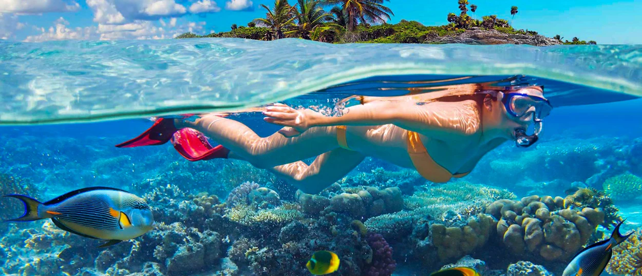 Person snorkeling in clear blue waters of Koh Samui, surrounded by coral and tropical fish.