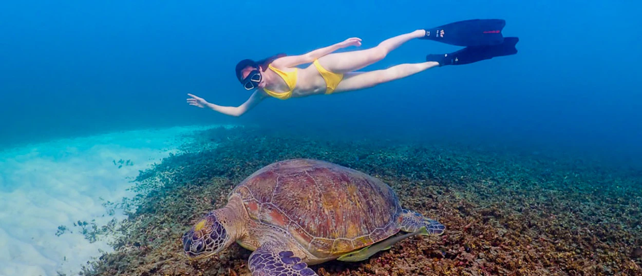 A woman snorkeling in Shark Bay, Koh Tao, observes a green sea turtle on the seabed.