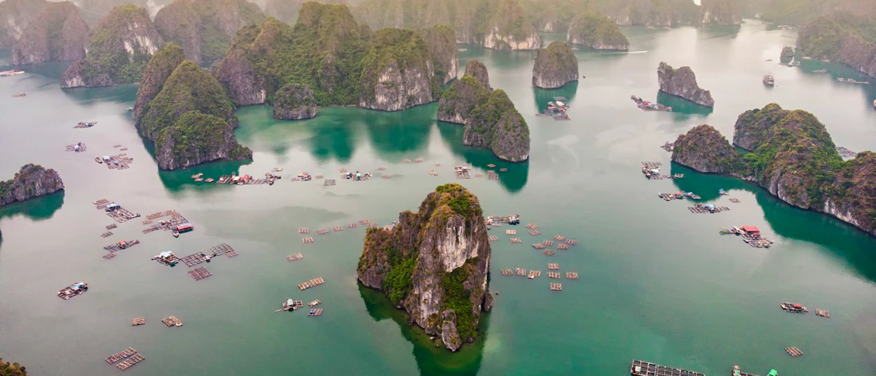 Aerial view of Ha Long Bay with numerous limestone karsts and floating villages on emerald water.
