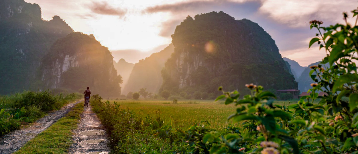 A person walks along a dirt path through green fields with dramatic limestone mountains in Ninh Binh at sunset.